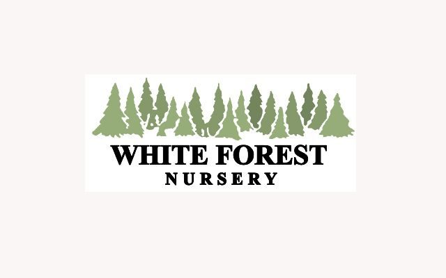 White Forest Nursery