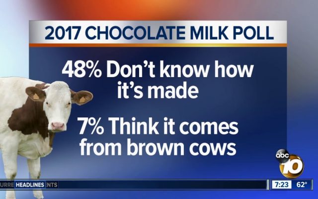 Random Fact: 7% of Americans Think Chocolate Milk Comes from Brown Cows