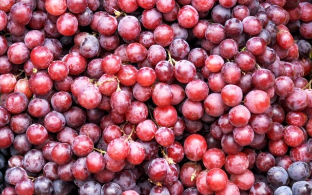 Random Fact: A LOT of Grapes Go Into Bottles of Wine