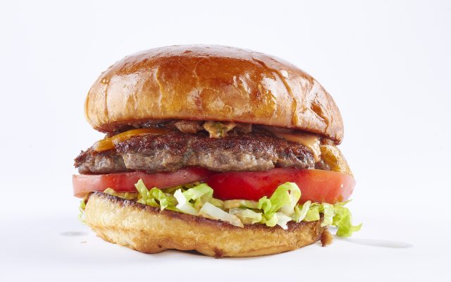 Random Fact: Today is National Hamburger Day!