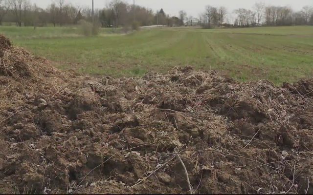 Farmer Builds Wall of Poop After Dispute With Neighbor