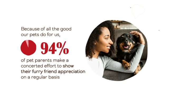Two-Thirds of Americans Treat Their Pets Better Than Themselves