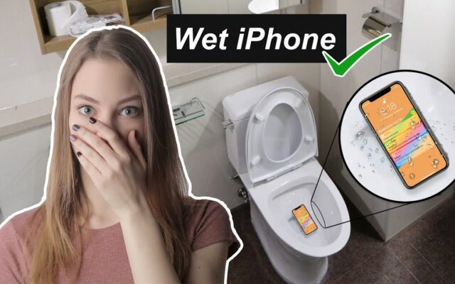 Woman Finds Missing Phone After Ten Years…In Her Toilet