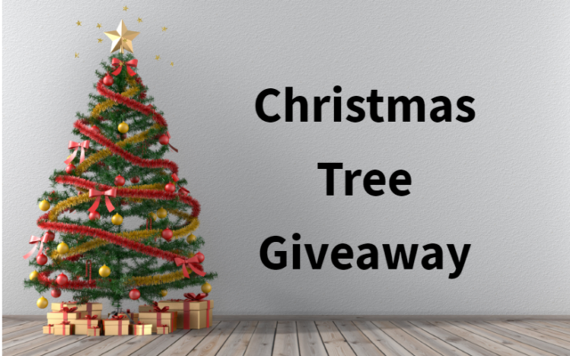 Win a Christmas Tree!